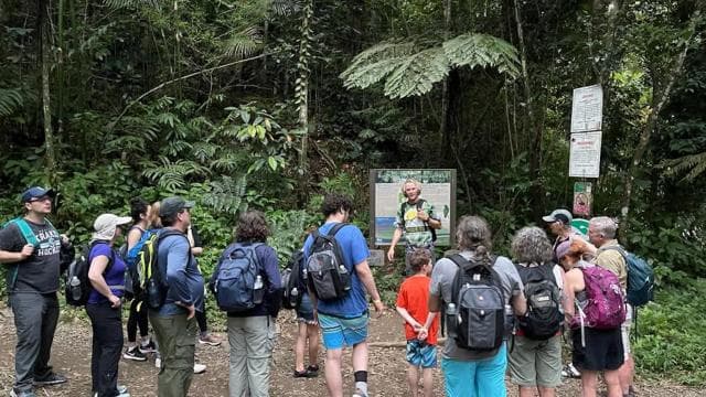 El Yunque Forest: Rainforest Nature Walk at Night Tour