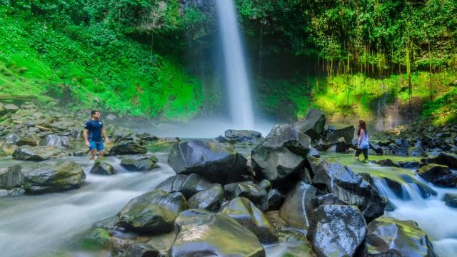 La Fortuna: Arenal Volcano and Waterfall Tour with Lunch