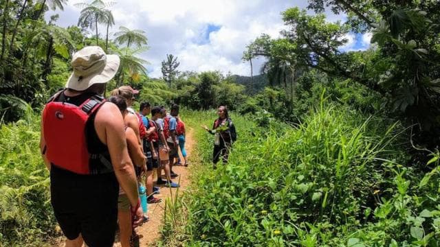 From San Juan: El Yunque National Rainforest Half-Day Tour
