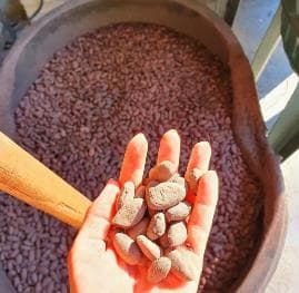 From Puerto Plata Priv: Cocoa, Coffee, Cigars & Local Market