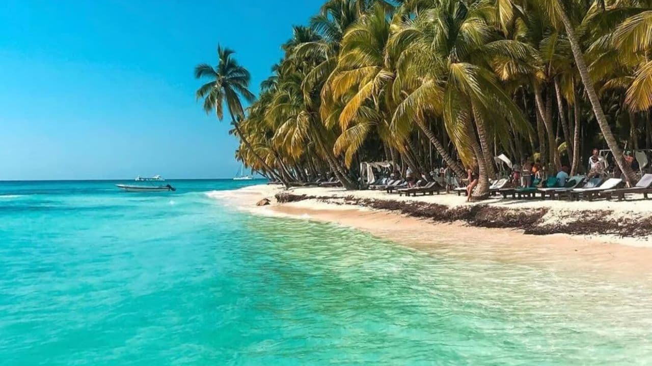 Santo Domingo: Saona Island Catamaran Tour with Lunch & Bar