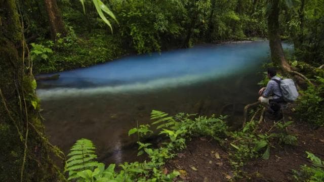 Ticket to Rio Celeste Waterfall & Tenorio National Park