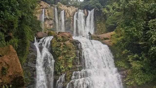 Nauyaca Waterfall: Shuttle Service, Park Ticket & Lunch