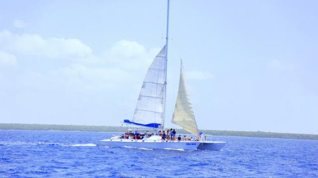 Punta Cana: Saona Island and Altos de Chavón Day Trip