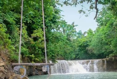 Adventure from Samaná: Los Haitises, Caño Hondo, and Yanigua