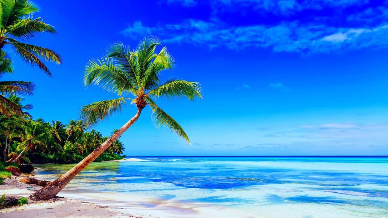Punta Cana: Saona Island Day Trip with Open Bar and Lunch