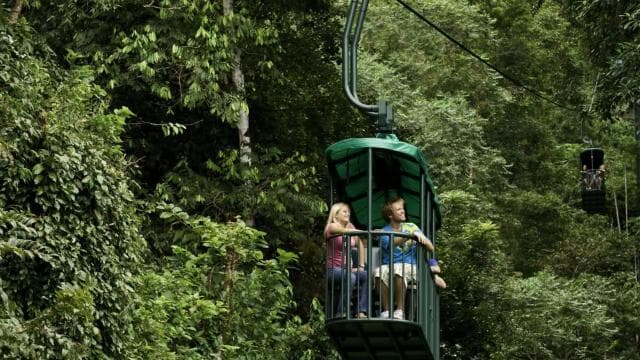 Jaco Beach: Pacific Aerial Tram at Rainforest Adventures