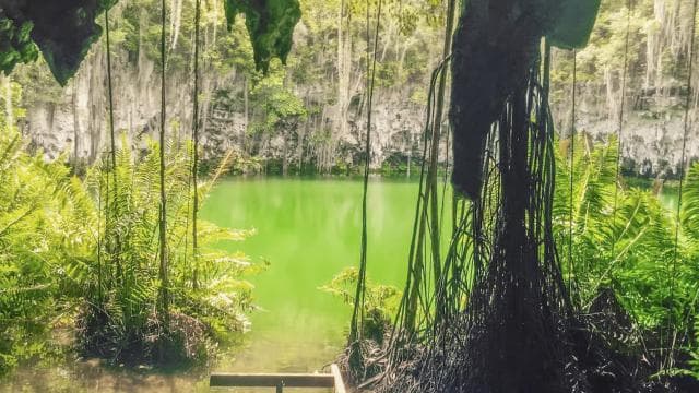 From Punta Cana: Santo Domingo City Tour