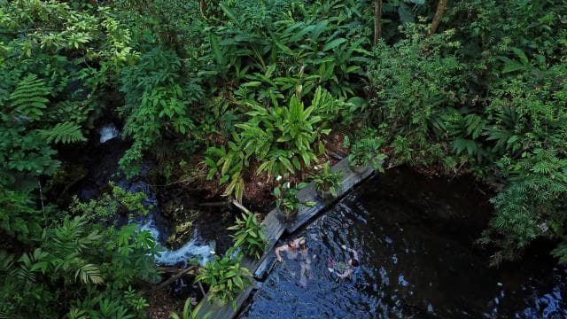 Spa or Jaguar Luxury Rainforest Experiences with Lunch