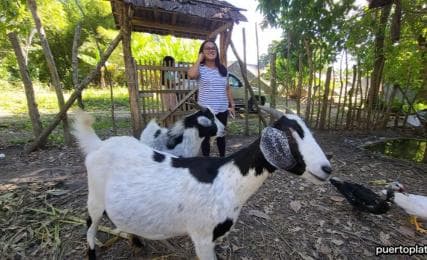 Dominican Republic Countryside Safari Tour from Puerto Plata