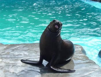 Puerto Plata: Ocean World Adventure Park Day Pass