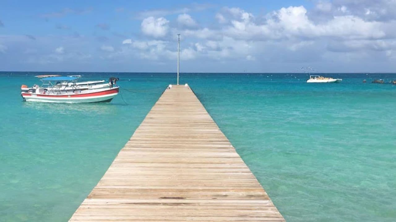 Punta Cana: Saona Island Day Trip with VIP Option