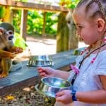 From Bayahibe: Half Day Monkeyland Safari