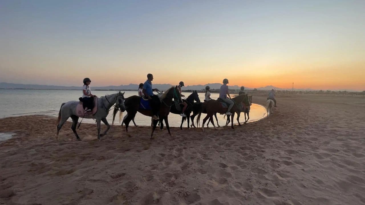 2hour horseback riding adventure on the beach jungle & river