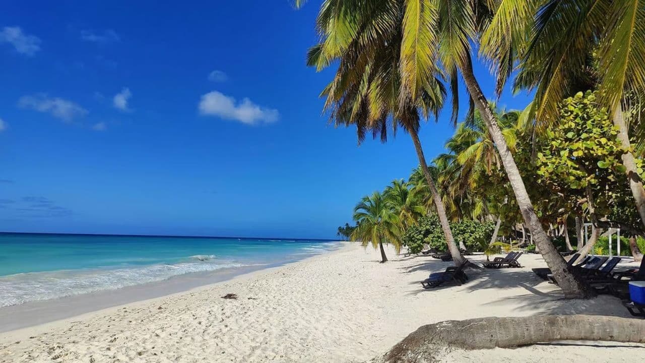 Saona Island Tour with Lunch from Santo Domingo