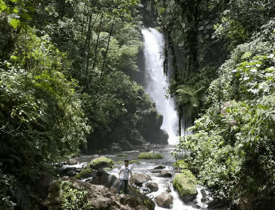 San José: Guided Volcano, Waterfall & Coffee Farm Day Trip - Dominican Republic