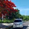 Private Transfer from Live Aqua to SDQ
