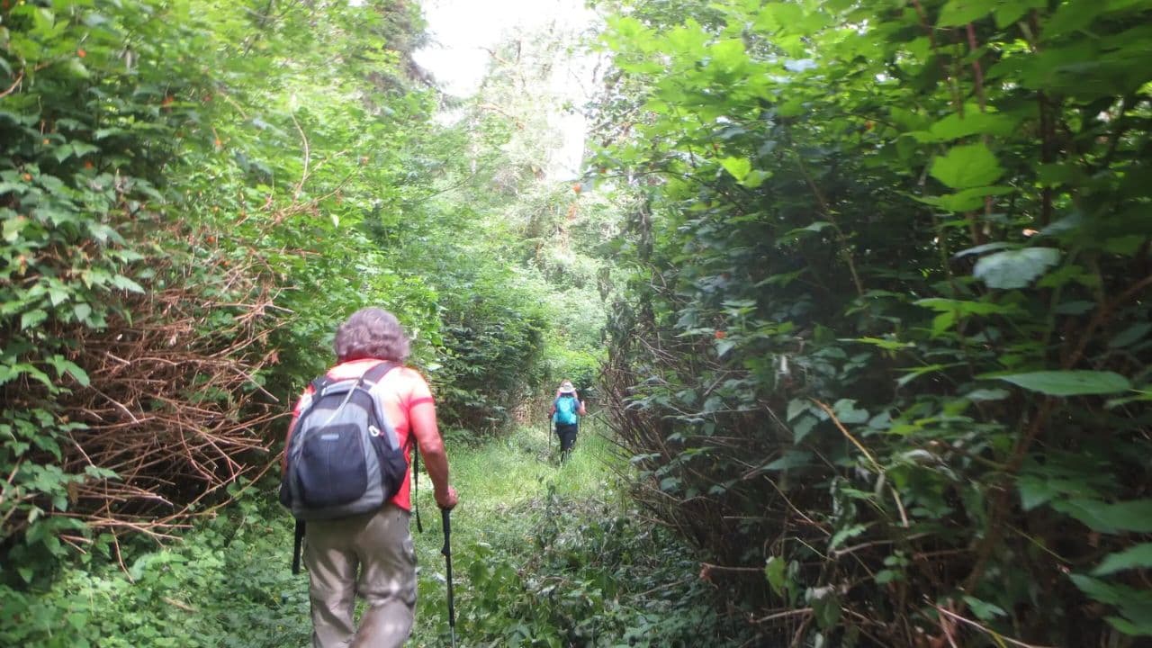 Hiking the 27 Waterfalls of Damajagua Tour from Sto. Dgo. - Dominican Republic