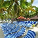 Saona Island: Full-Day Boat Tour with Buffet Lunch & Drinks