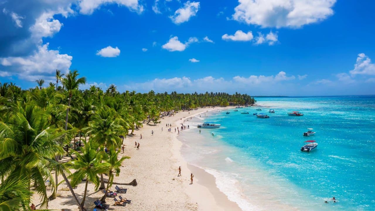 Full-Day Saona Island Tour by Speedboat
