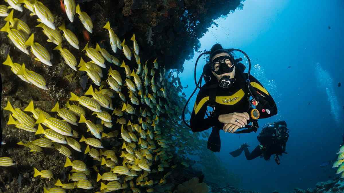 Bayahibe: PADI Open Water Course