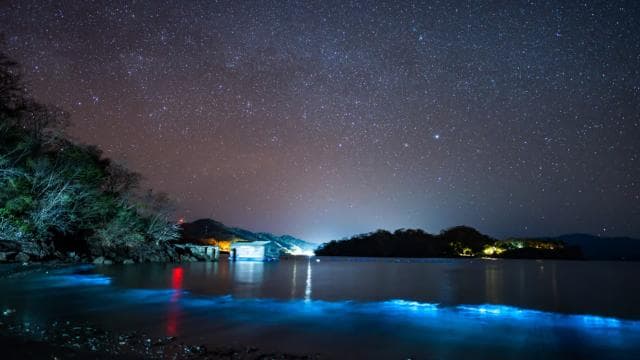 Bioluminescence Tour; Speedboat, Camping (From Puntarenas)