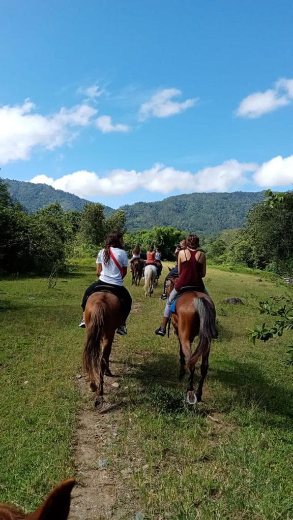 Jarabacoa: Horseride Excursion to Salto Baiguate Waterfall (Copy)