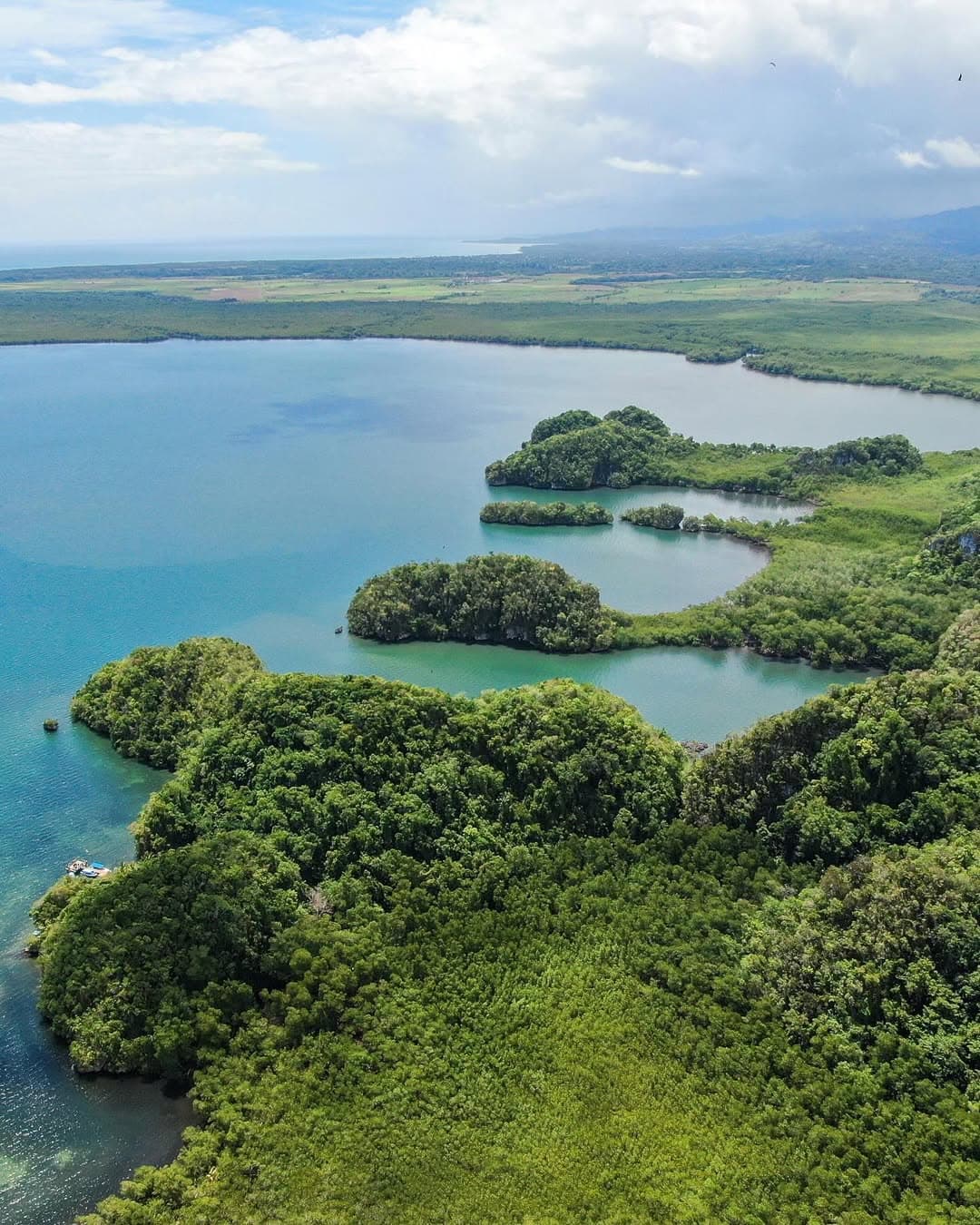 Kayaking in Los Haitises National Park from Caño Hondo | 4-Hour Guided Tour