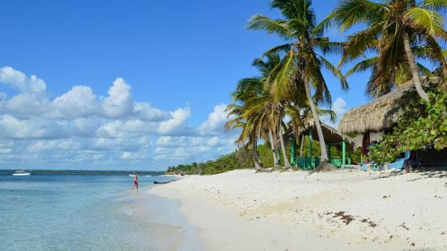 Punta Cana: Catalina Island Snorkeling Tour with Lunch