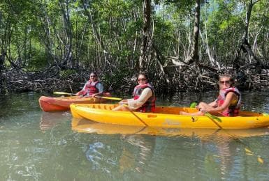 Los Haitises: Kayaking, Hiking, and Caving Tour with Lunch