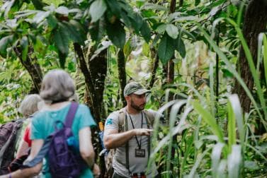 Punta Cana: Anamuya Mountains Guided Walking Tour