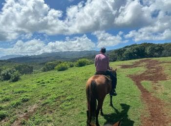 Jarabacoa: Private Baiguate Waterfall Horseback Riding Tour