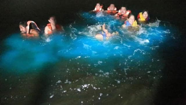 From Puntarenas: Bioluminiscence Boat Tour with BBQ & Drinks
