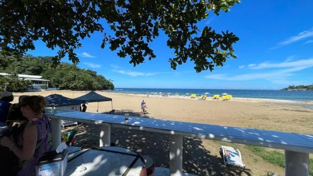 Puerto Limón: Tortuguero, Maratopia, Cahuita, banana plantation, and much more: tour