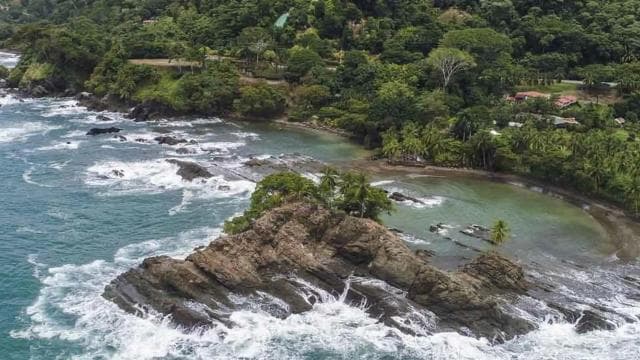 Uvita: Marino Ballena National Park Whale Watching Cruise
