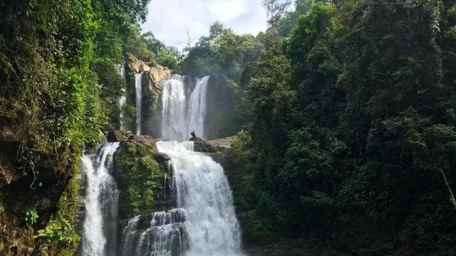 Nauyaca Waterfall: Shuttle Service, Park Ticket & Lunch