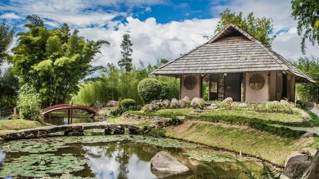 From San Jose: Orosi Valley & Lankester Garden Day Tour