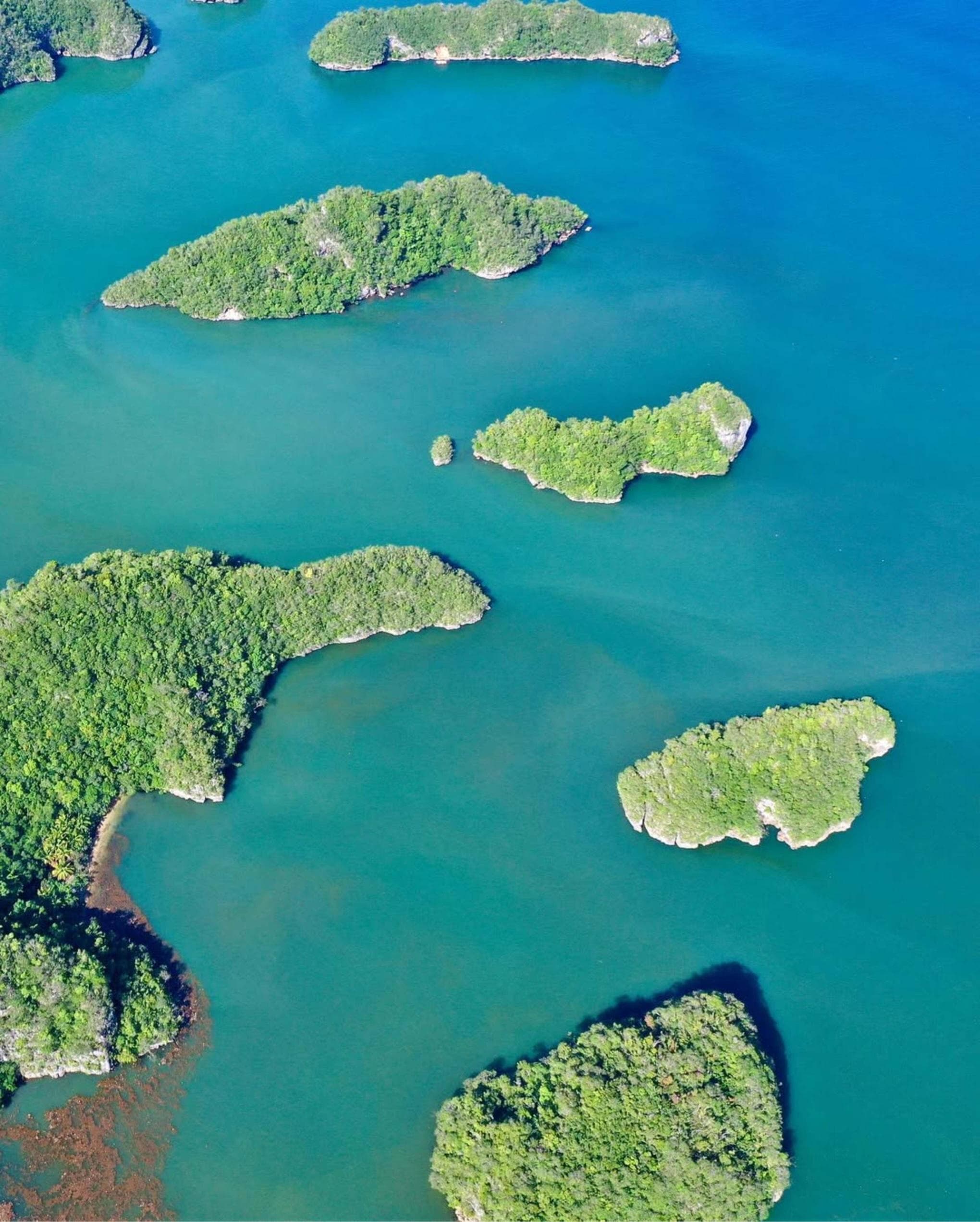 Los Haitises National Park & Cayo Levantado Tour from Samaná Port – Adults $60 | Kids $45
