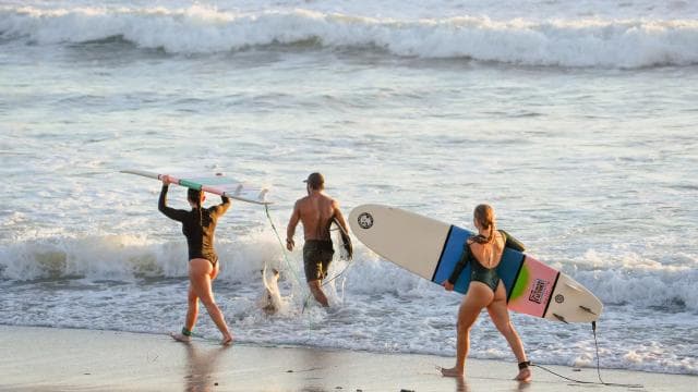 Santa Teresa: Surf Lesson with Certified Instructor