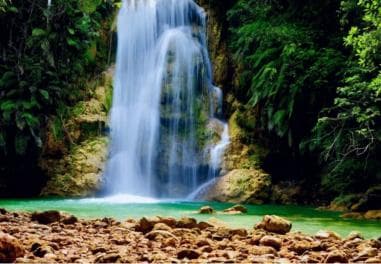 From Samaná: El Limón Waterfall Horseback Ride with Lunch