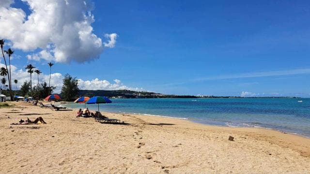 El Yunque Rainforest Water Slide & Luquillo Beach Tour