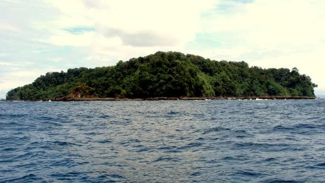 Playa Uvita: Caño Island Snorkeling Tour with Lunch