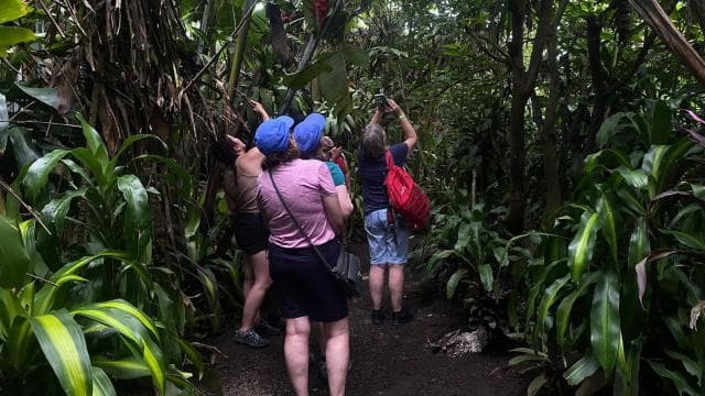La Fortuna: Rio Celeste, Sloths, Coffee & Chocolate Tour