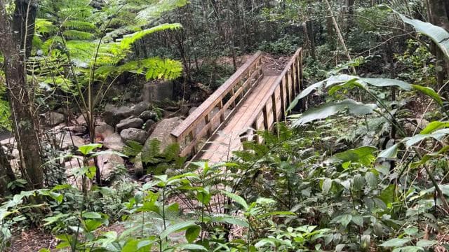 San Juan: El Yunque National Rainforest Sightseeing Tour