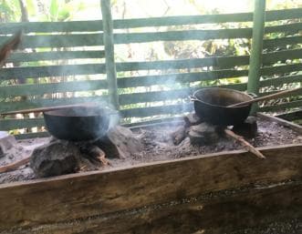 From Bayahibe: Half Day Monkeyland Safari