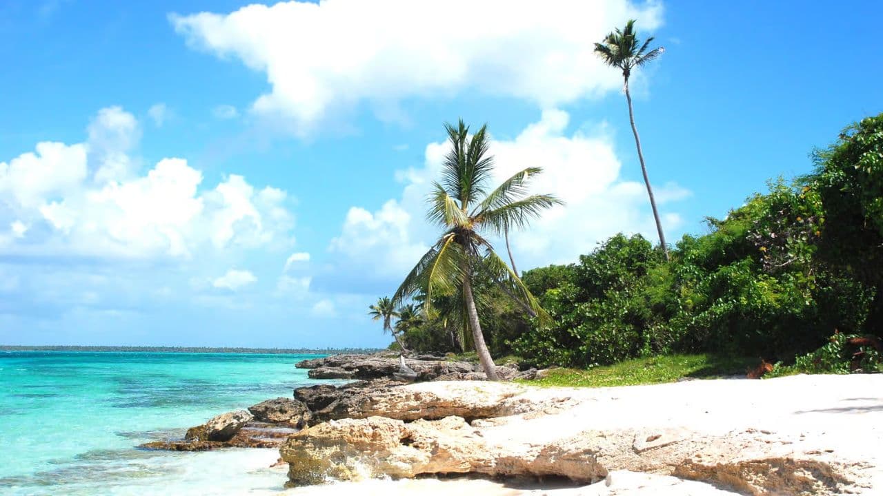 From La Romana: Saona Island for Costa Cruises Passengers