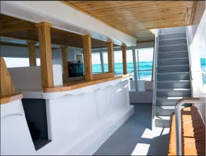 Punta Cana: Catalina Island Cruise with Lunch and Open Bar