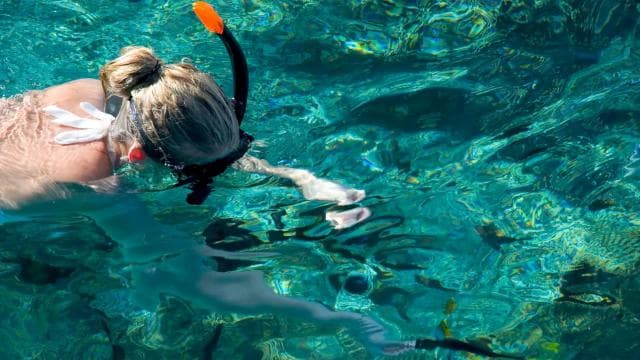 LICENSED Two-Hour Snorkeling Adventure Cahuita National Park