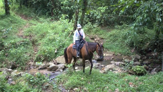 Private Horseback Riding - Río Celeste