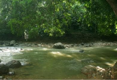 Samaná: El Limón Waterfall Horseback Riding Tour